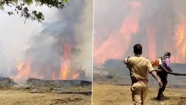 Wayanad Fire: Massive Fire Breaks Out in Forest Area in Kerala, No Casualties Reported (Watch Video)