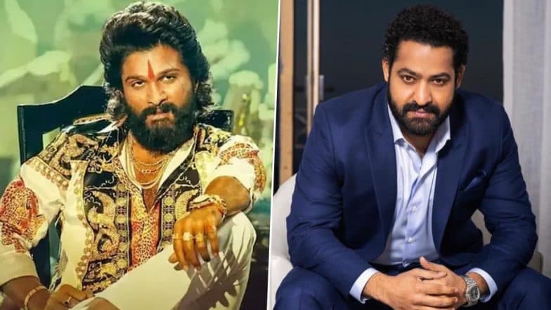 Allu Arjun Birthday: Jr NTR Wishes Pushpa 2 Star With Heartfelt Message on Social Media!