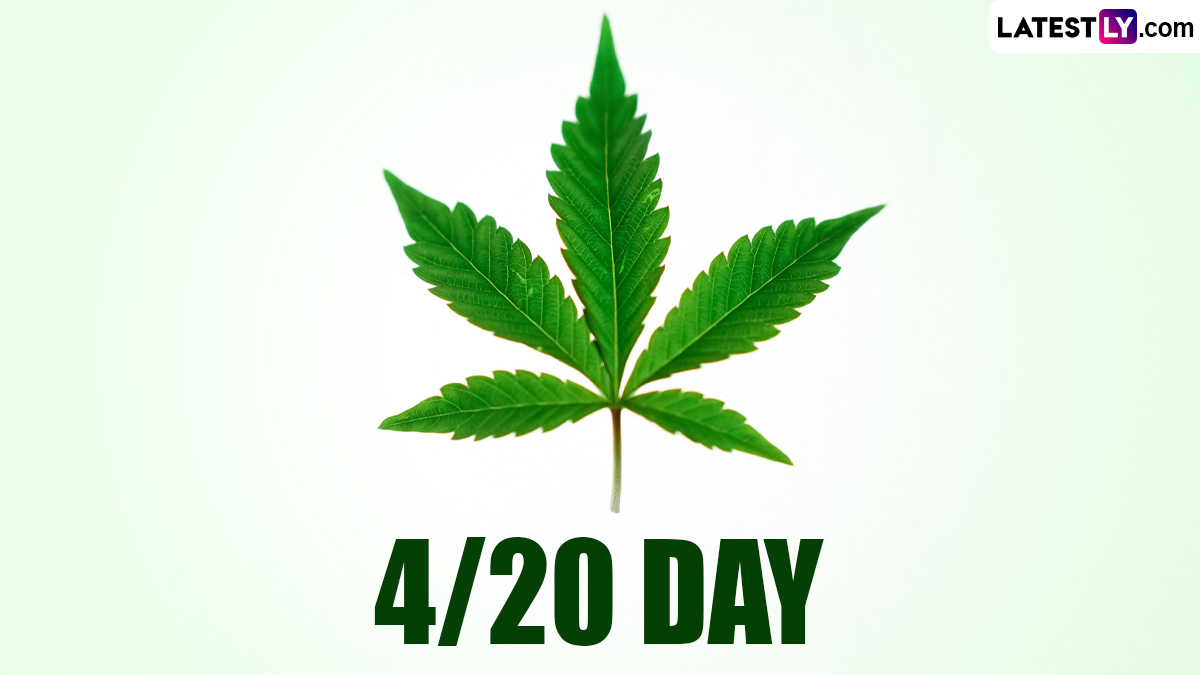 Festivals & Events News | What Is 'Weed Day'? 4/20 Day 2024 History ...