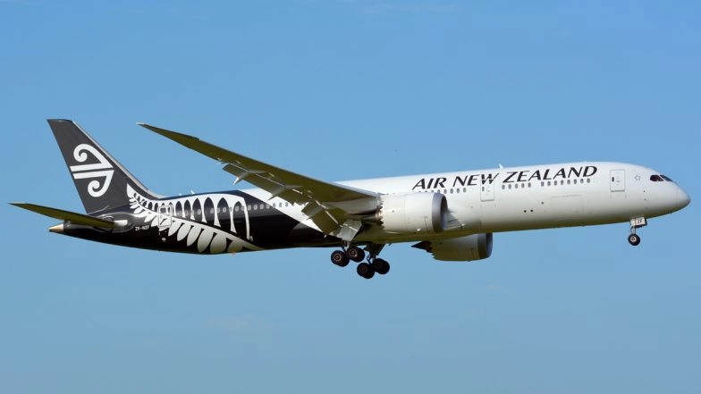 Mid-Air Trauma: Passenger's Leg 'Snaps in Half' After Flight Suffers Turbulence En Route to New Zealand, Endures Pain For Six Hours