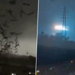 China Tornado Videos: Five Killed, 33 Injured As Deadly Tornado Strikes Guangzhou in Southern China