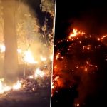 Nainital Forest Fire Videos: Hectares of Forest Burnt in Massive Blaze Near Uttarakhand’s High Court Colony, IAF Mi-17 Helicopter Deployed for Dousing Operation