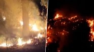 Nainital Forest Fire Videos: Hectares of Forest Burnt in Massive Blaze Near Uttarakhand&rsquo;s High Court Colony, IAF Mi-17 Helicopter Deployed for Dousing Operation