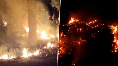 Nainital Forest Fire Videos: Hectares of Forest Burnt in Massive Blaze Near Uttarakhand’s High Court Colony, IAF Mi-17 Helicopter Deployed for Dousing Operation