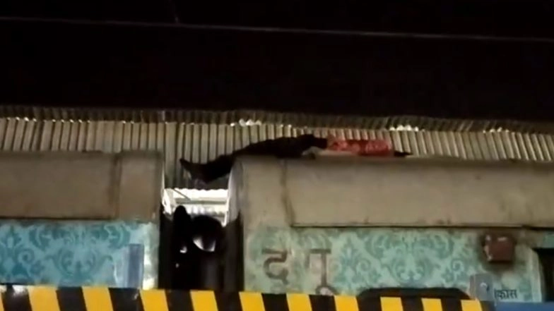 UP Man Miraculously Survives Death After Travelling on Roof of Humsafar Express Train Running at Speed of 100 Km per Hour, Arrested (Watch Video)