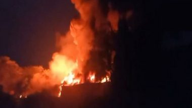 Andhra Pradesh Fire: Blaze Erupts at Plastic Godown in Tirupati (Watch Video)