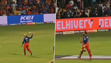 Dinesh Karthik Receives Applause From Chinnaswamy Crowd As He Walks Back Towards Dressing Room Following Fighting Knock in RCB vs SRH IPL 2024 (Watch Video)