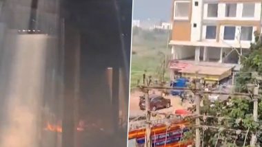Gujarat Fire Video: Blaze Engulfs GIDC in Sanand, Multiple Fire Tenders On Scene