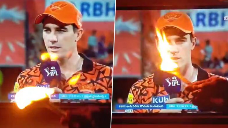 Pat Cummins Reacts After Fan 'Worships' Him As He was Shown On TV During PBKS vs SRH IPL 2024 Match