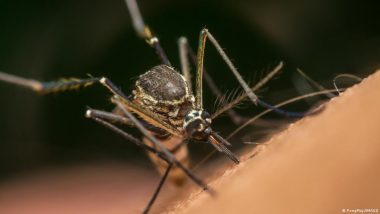 Malaria: Why Aren't Case Numbers Falling?