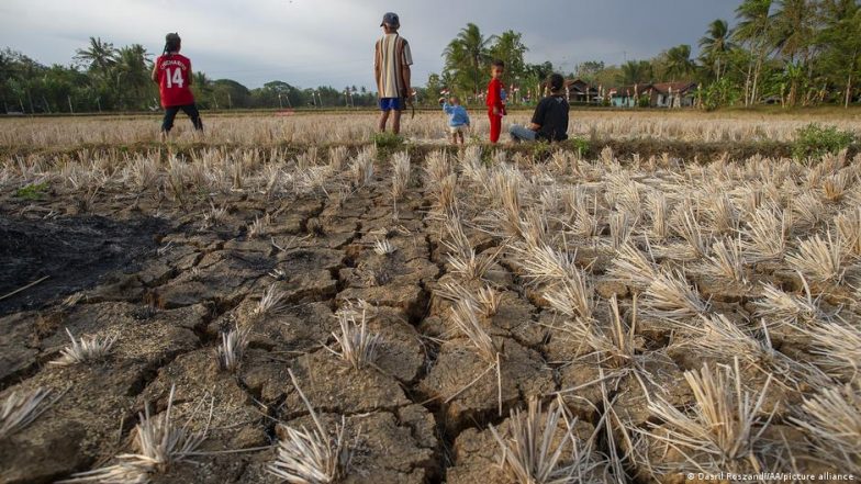 La Nina Effect: ‘State of Drought Disaster’ Declared As El Nino Effect Causes Severe Food Situation Across Southern Africa