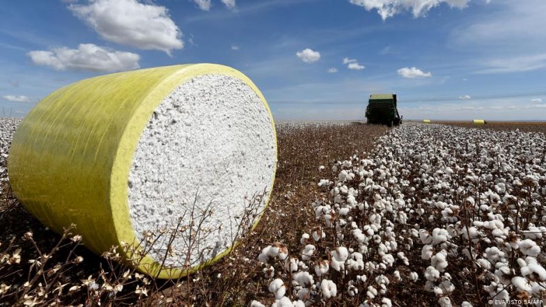 Fashion Giants Linked to Deforestation