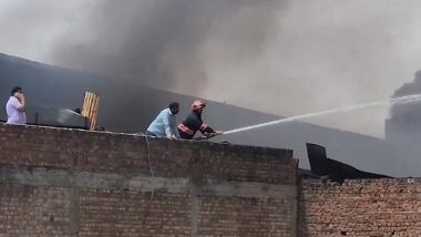 Delhi Fire: Massive Blaze Erupts at Factory in Mundka Area, No Casualty Reported (Watch Video)