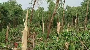 India News | One Dead, Seven Families Shifted to Relief Camps Due to Heavy Storm in Tripura