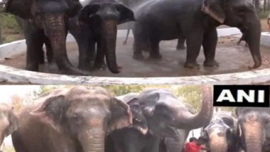 India News | Tamil Nadu: Special Arrangements in Trichy to Keep Elephants Cool from Summer Heat