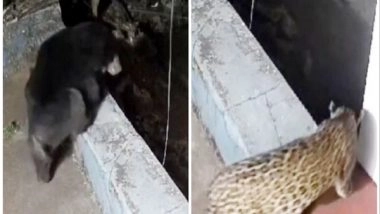 India News | Tamil Nadu: Bear, Leopard Spotted in Residential Area of Nilgiris