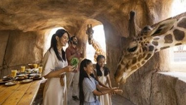 Business News | Get Inspired for Summer with 101 Abu Dhabi Do's!