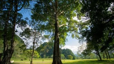 World News | Israel and Cyprus Work to Expand Environmental Cooperation