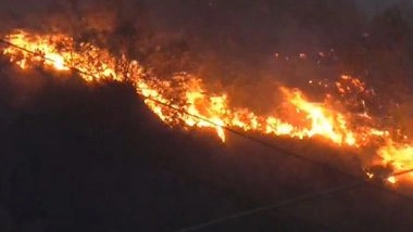 India News | Uttarakhand: Fire Breaks out in Forests of Srinagar, Authorities Struggle to Contain Blaze