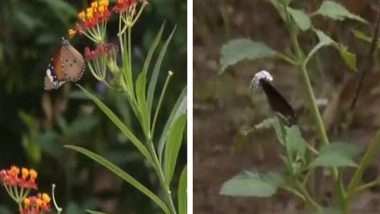 India News | Tamil Nadu: Tropical Butterfly Conservatory in Tiruchirappalli is Home to 129 Butterfly Species