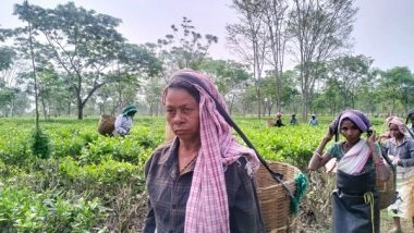 India News | Tea Garden Workers in Assam's Biswanath Raise Long-pending Grievances Ahead of Lok Sabha Elections