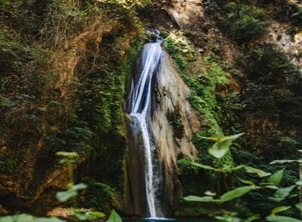 Science News | Study Finds Biodiversity is Key to Better Mental Health