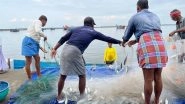 India News | LS Polls: Puducherry Fishermen Want Modern Technology Like GPS on Their Boats from Candidates