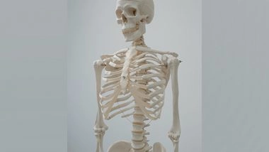 World News | Ancient Skeletons Unearthed in France Disclose Italian Mafia-style Killings