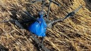 India News | Punjab: BSF Recovers China-made Drone from Border Area in Ferozepur