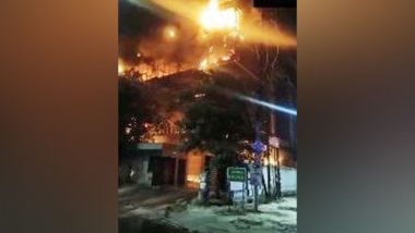 Noida Fire: Blaze Erupts at Leather Manufacturing Company Building in Sector 65 Area (Watch Videos)