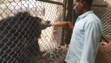 India News | Rajasthan: Coolers, Sprinklers Installed at Jaipur's Nahargarh Biological Park to Save Animals from Heat Wave