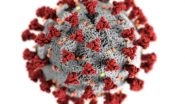India News | Keeping a Close Watch on Seasonal Influenza Situation in the Country: Union Health Ministry