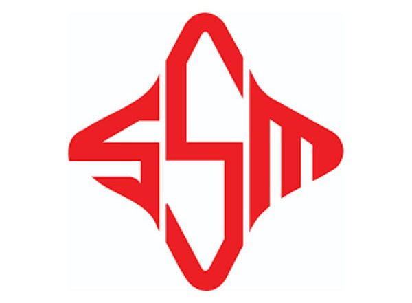 Business News | Sai Swami Metals and Alloys Limited IPO Opens on April 30, 2024