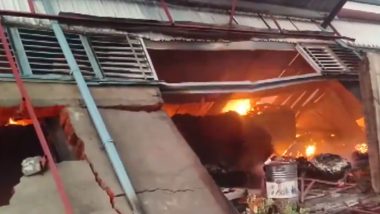 Ajmer Fire: Massive Blaze Erupts at Plywood Factory in Rajasthan (Watch Video)
