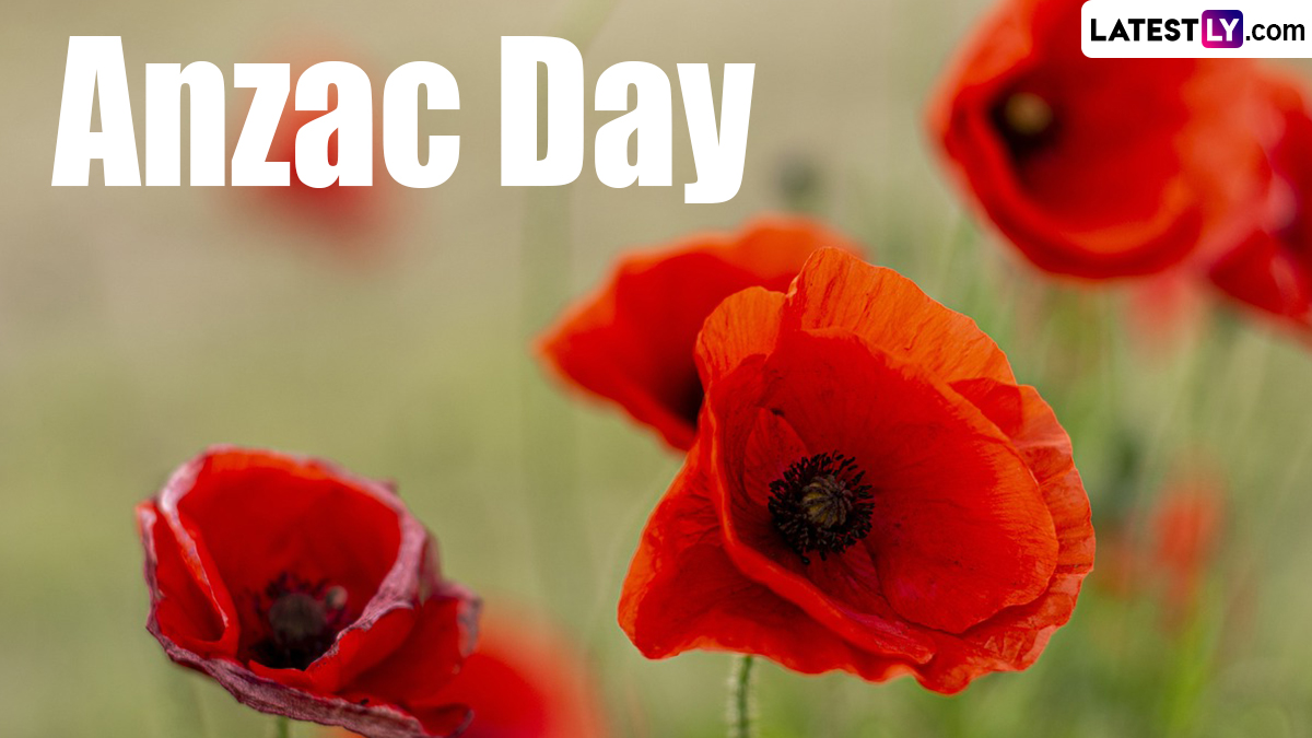 Festivals & Events News All You Need To Know About Anzac Day 2024 🙏