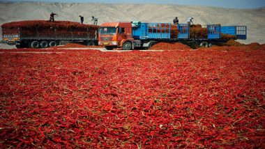 Chinese Dried Chili Shipments Totaling Over 40,000 Kg Seized at Taiwan Border Over Excessive Pesticide Residue