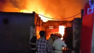 Delhi Fire: Massive Blaze Erupts at Clothing Factory in Prahladpur Area (Watch Video)