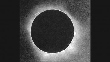 First Total Solar Eclipse Photo Ever! Stunning Picture of Surya Grahan Captured by Prussian Photographer Johann Julius Friedrich Berkowski in 1851 Surfaces (See Pic)