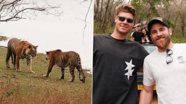 Gujarat Titans’ Stars Visit Ranthambore National Park, Kane Williamson Shares Pictures of ‘Amazing’ Wildlife Adventure (See Post)