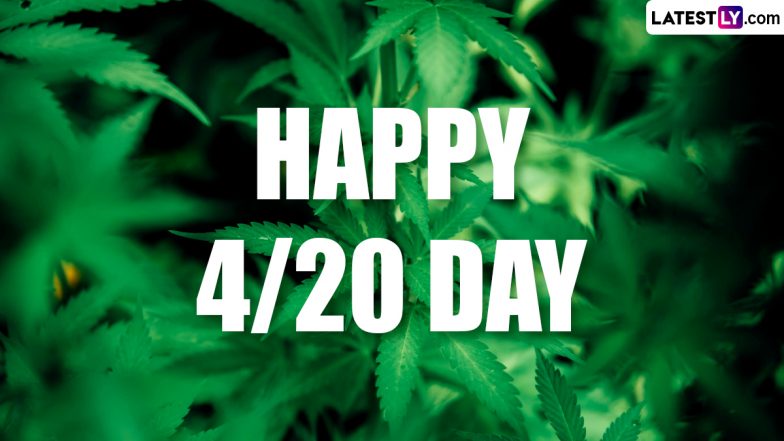 Weed Day 2024: Here’s Everything You Need To Know About 420 Day