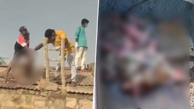 Dead Monkeys in Water Tank: 20 Monkeys Drown to Death in Water Tank While Trying to Drink Water in Telangana's Nandikonda Municipality, Authorities Remove Carcasses (Watch Video)