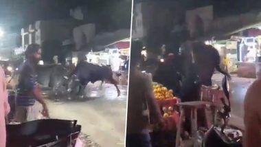 Bull Fight in UP Video: Two Bulls Lock Horns With Each Other in Middle of Road in Rae Bareilly, Tussle Leads to Destruction of Fruit Vendors' Carts