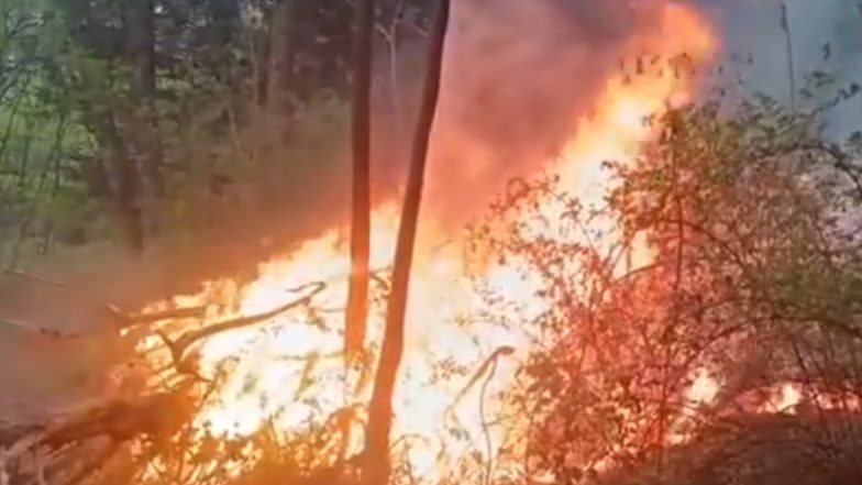 Srinagar Fire: Blaze Erupts in Forests of Gupkar Area, Brought Under Control (Watch Video)