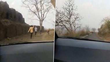 Bee Attack in Burhanpur: Picnic Turns Into Nightmare as Swarm of Bees Attack People in Madhya Pradesh, Viral Video Shows People Running for Cover