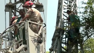 Tamil Nadu Farmers Climb Mobile Tower in Delhi Amid Protests Over Various Demands, Brought Down (Watch Video)