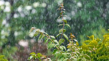 Mumbai Rains: Light Rainfall Likely in Mumbai, Thane and Palghar for Next 36-48 Hours, Check Weather Forecast
