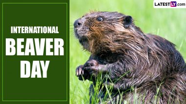 International Beaver Day 2024 Date, History and Significance: What Is the Aim of This Global Event Dedicated to Nature's Engineers