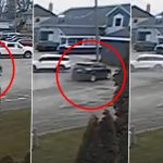 Michigan Car Crash Video: Drunk Driver Crashes Into Children’s Birthday Party in Monroe County, Two Children Killed and 13 Others Injured; Disturbing Clip Surfaces