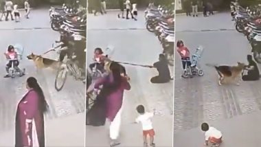 Dog Attack in Ghaziabad: Pet German Shephard Attacks Six-Year-Old Girl Riding Cycle in Ajnara Integrity Society (Watch Video)