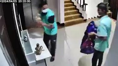 Dunzo Delivery Boys Robbery Video: Thieves Steal Valuables In Oxford Hallmark Society in Pune's Koregaon Park